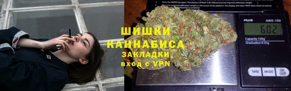 шишки Арсеньев