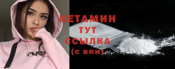 шишки Арсеньев