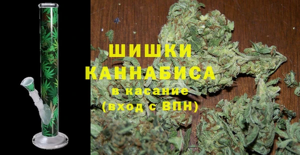 шишки Арсеньев