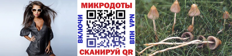 Галлюциногенные грибы ЛСД  Ахтубинск 